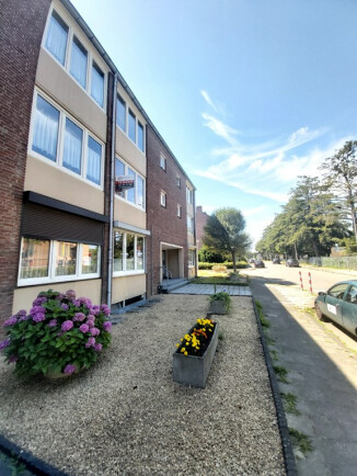 Opalinestraat